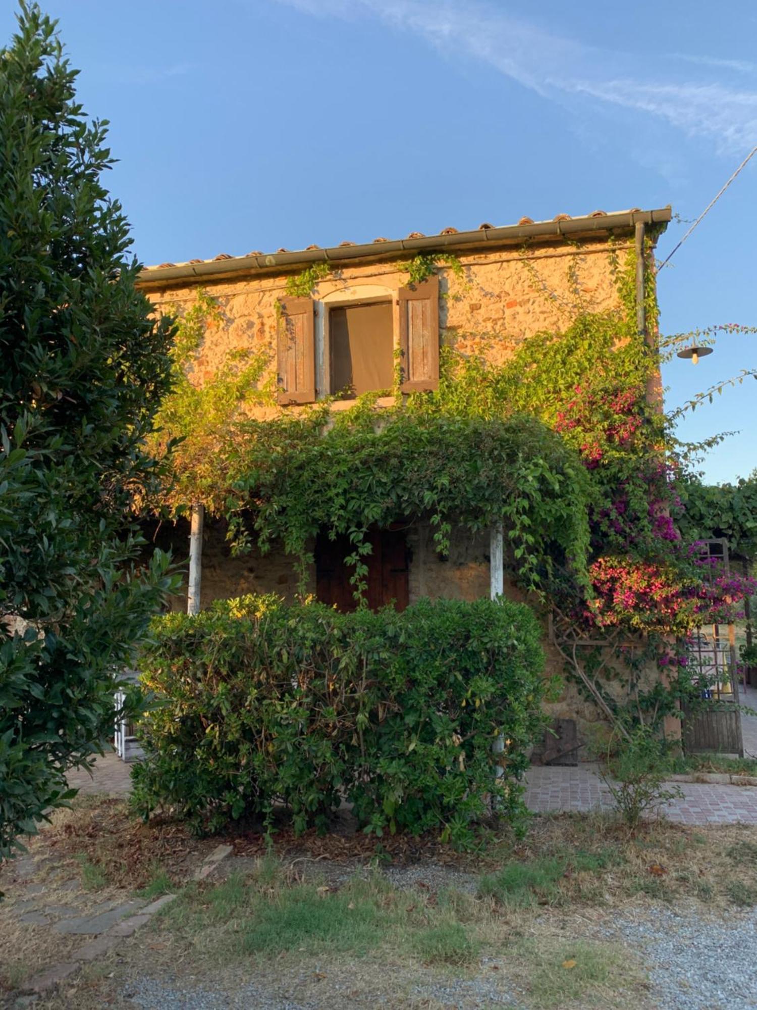 Podere Girasoli ピオンビーノ エクステリア 写真